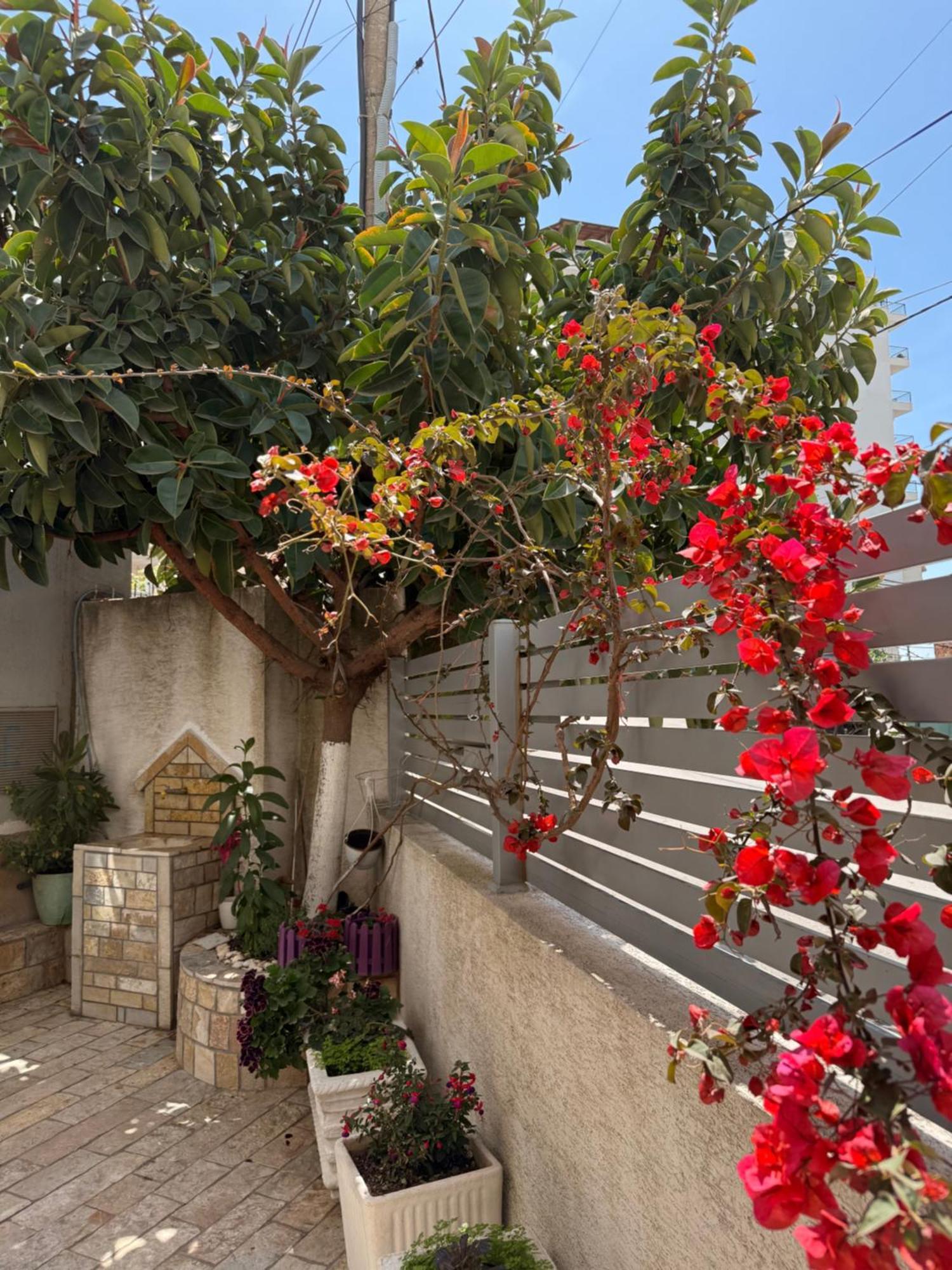 Apartments & Studios Ardian-Mandi Sarande-Albania Luaran gambar